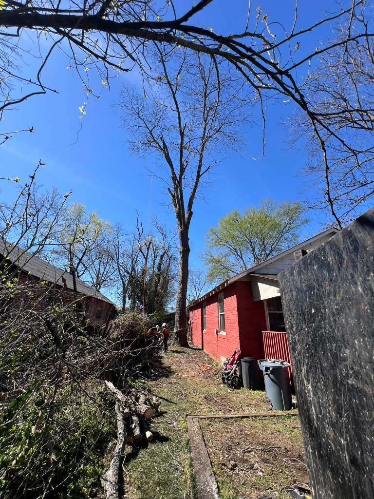 Storm Damage Cleanup