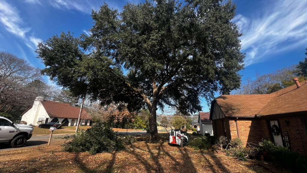 24/7 Emergency Tree Service